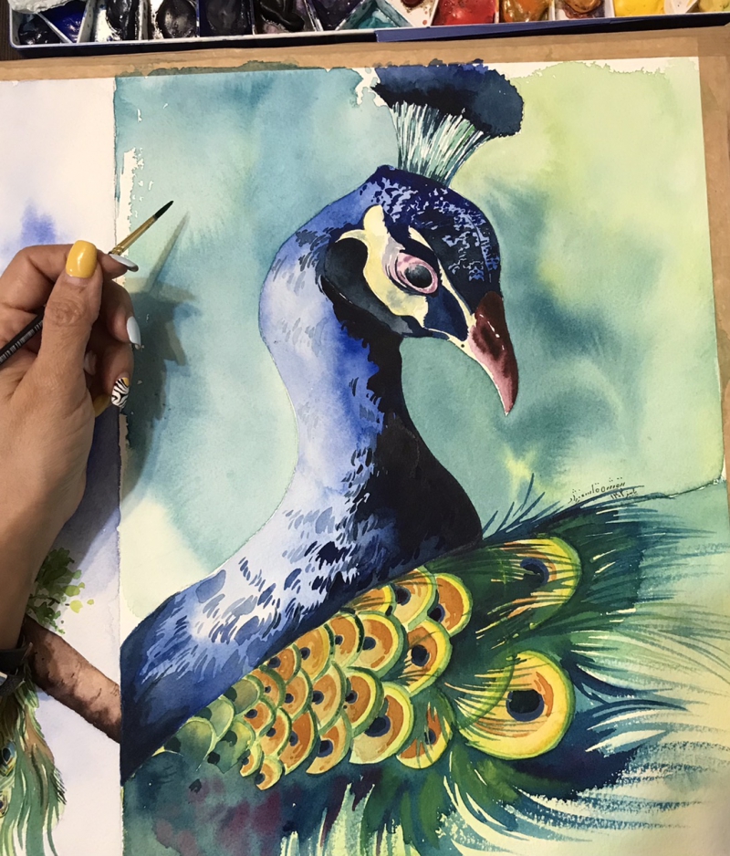 نقاشی طاووس – اثر هنرجو: بنفشه قاسمی نژاد